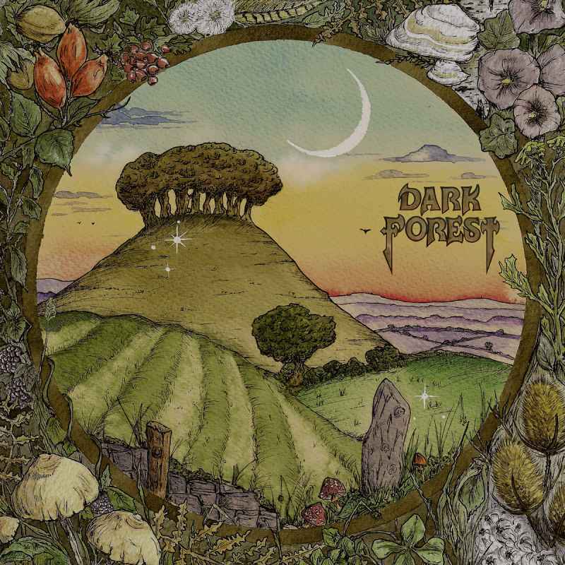 DARK FOREST - Ridge & Furrow MCD